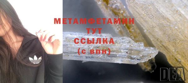 ПСИЛОЦИБИНОВЫЕ ГРИБЫ Горняк