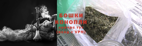 ПСИЛОЦИБИНОВЫЕ ГРИБЫ Горняк