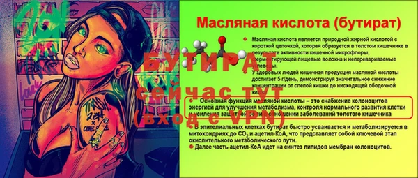 ПСИЛОЦИБИНОВЫЕ ГРИБЫ Горняк