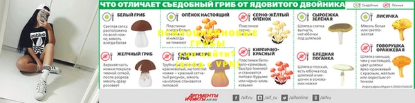 ПСИЛОЦИБИНОВЫЕ ГРИБЫ Горняк