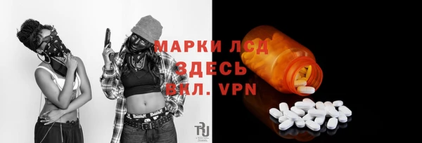 ПСИЛОЦИБИНОВЫЕ ГРИБЫ Горняк