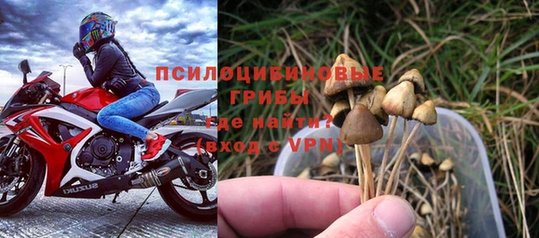 молекула духа Горно-Алтайск