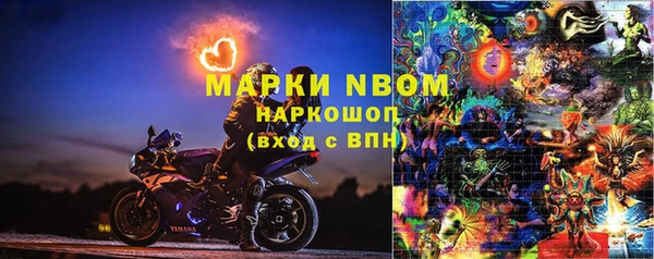 прущие грибы Горнозаводск