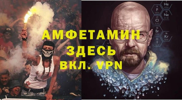 прущие грибы Горнозаводск