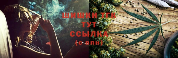 ПСИЛОЦИБИНОВЫЕ ГРИБЫ Горняк