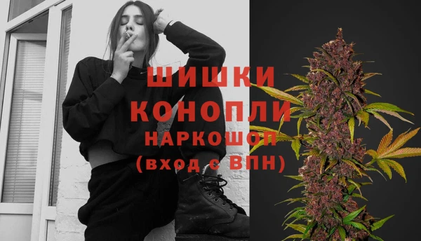 молекула духа Горно-Алтайск