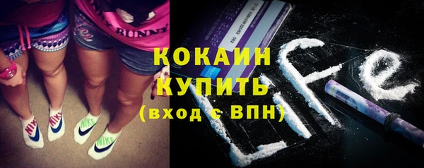 ПСИЛОЦИБИНОВЫЕ ГРИБЫ Горняк